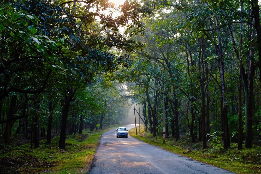 Autumn in Dandeli